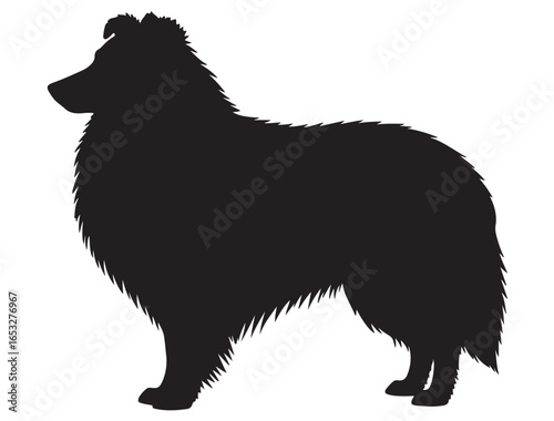 SHETLAND SHEEPDOG SILHOUETTE
