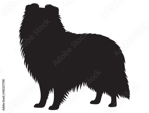 SHETLAND SHEEPDOG SILHOUETTE