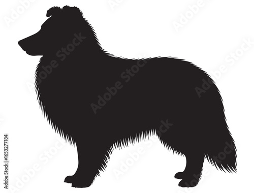 SHETLAND SHEEPDOG SILHOUETTE