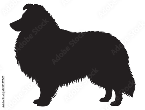 SHETLAND SHEEPDOG SILHOUETTE