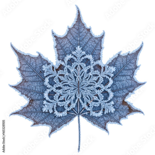 blue snowflake isolated on white