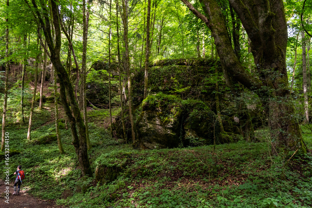 Obraz premium Wandern auf dem Panoramaweg im Ailsbachtal in der Fränkischen Schweiz