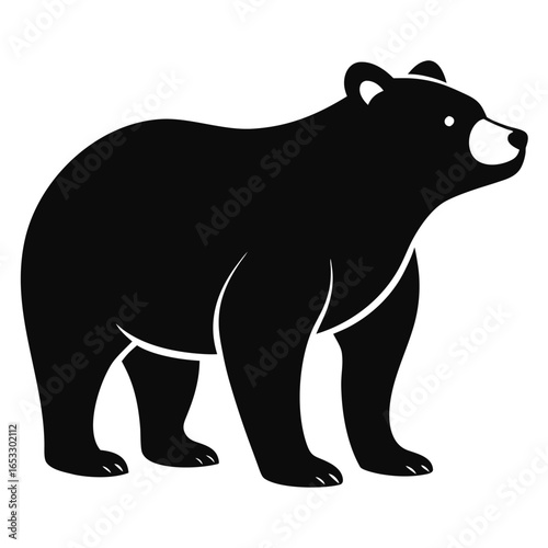 Black bear standing profile view animal wildlife