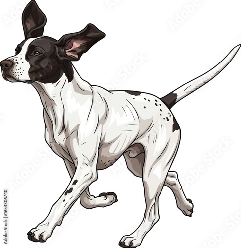 Ariege Pointer dog running side view vector illustration