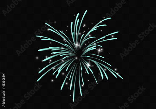 Colorful exploding fireworks in the sky - celebration card, festival banner. Vector.