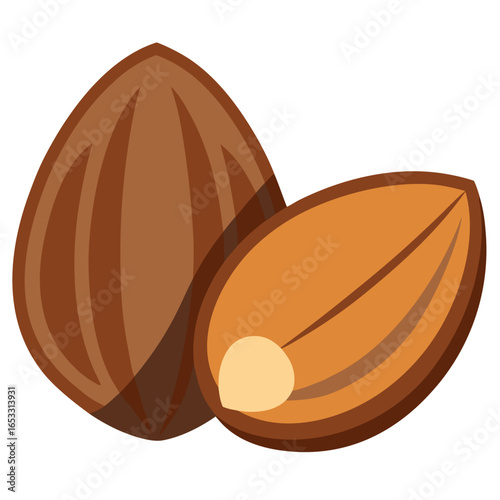 Two brown almonds with light brown interior food nuts