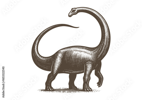 Brontosaurus Diplodocus Dinosaur In Vintage Engraving Style Retro Vector Of Prehistoric Ancient Reptile Animal
