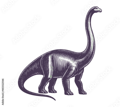 Brontosaurus Diplodocus Dinosaur In Vintage Engraving Style Retro Vector Of Prehistoric Ancient Reptile Animal