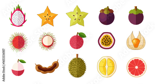 Illustration of various tropical fruits including dragonfruit and starfruit