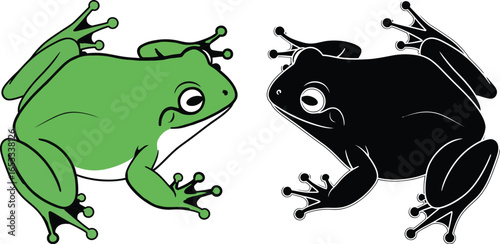 Frog illustration green and black amphibian vector drawing