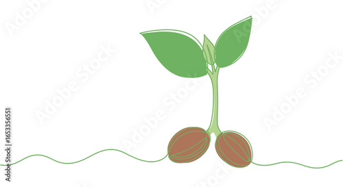 Seedling sprout plant growth and development concept