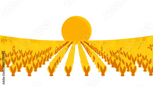 Sun Rising over Endless Field of Wheat

