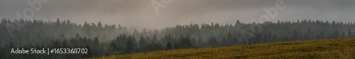 serene earlier foggy summer morning. coniferous forest behind the slope of agricultural field in thick morning fog. ultra widescreen panoramic side view of natural landscape in 30x5 format
