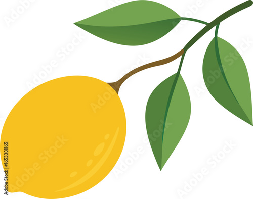 Yellow Lemon On A Branch With Green Leaves On Black Background fruit citrus