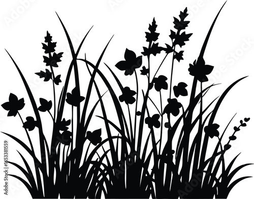 Grass And Ivy Vines Silhouette | Ivy Vine And Grass Vector Image