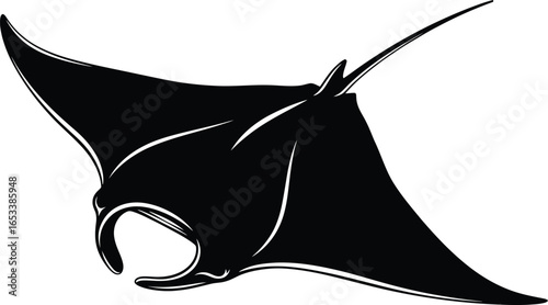 Vector art of black manta ray isolated on white background