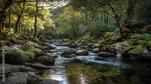   A river meandering through a verdant landscape adorned with boulders and flora along its banks