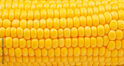 Yellow corn macro view image