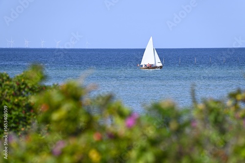 Sailboat with Danish Flag Passing Offshore Wind Farm at Fjellerup, Djursland Denmark
