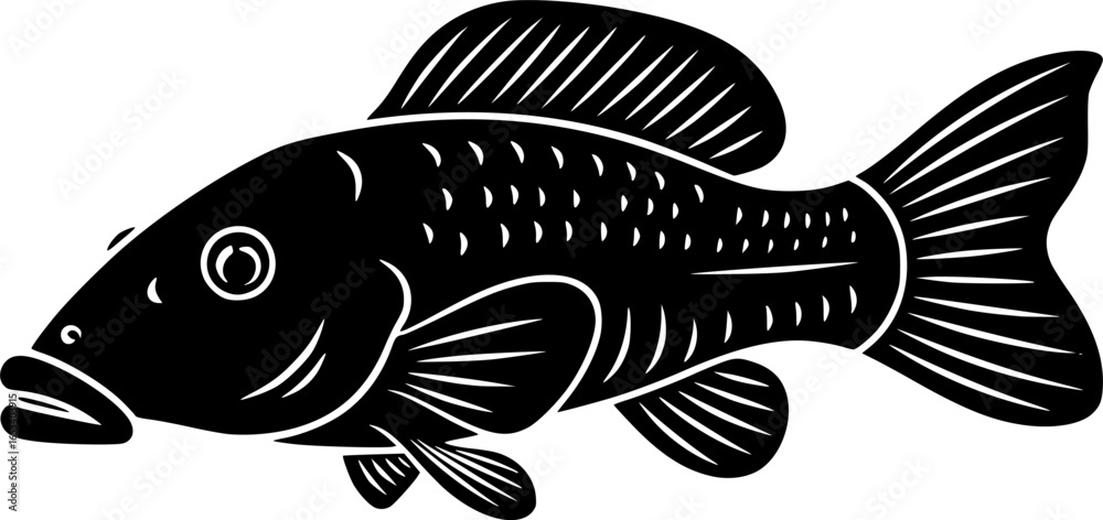 Fototapeta premium Pleco Fish Black SVG Vector Outline 
