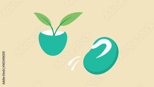 Two green bean sprouts in a teal pot next to a single green bean with splashes plant seedling transparency background