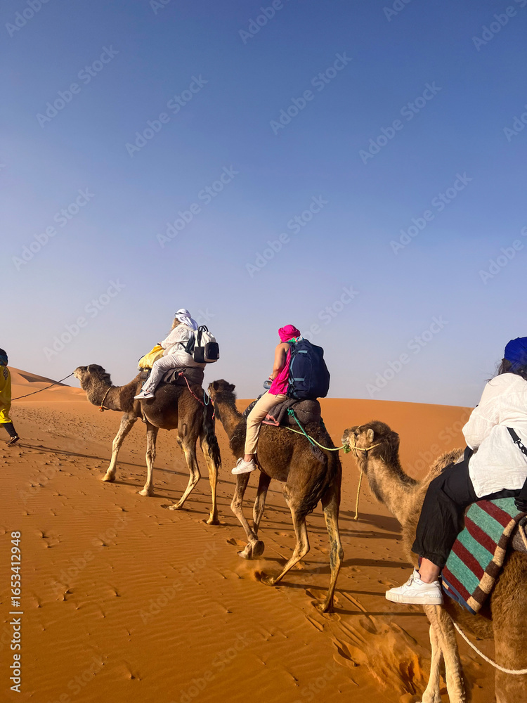 Fototapeta premium Women Riding Camels in the Sahara Desert Morocco