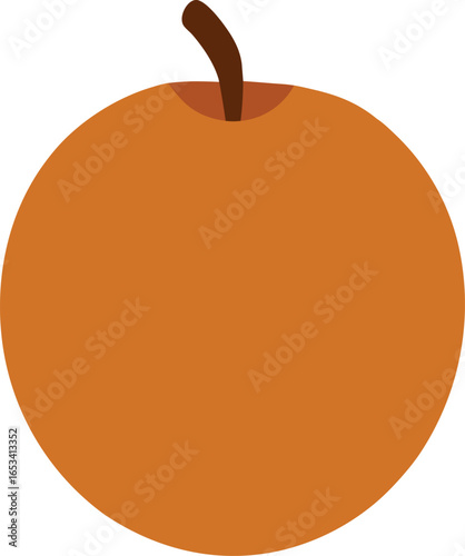 Sapodilla Fruit Illustration with Smooth Round Shape and Brown Stem