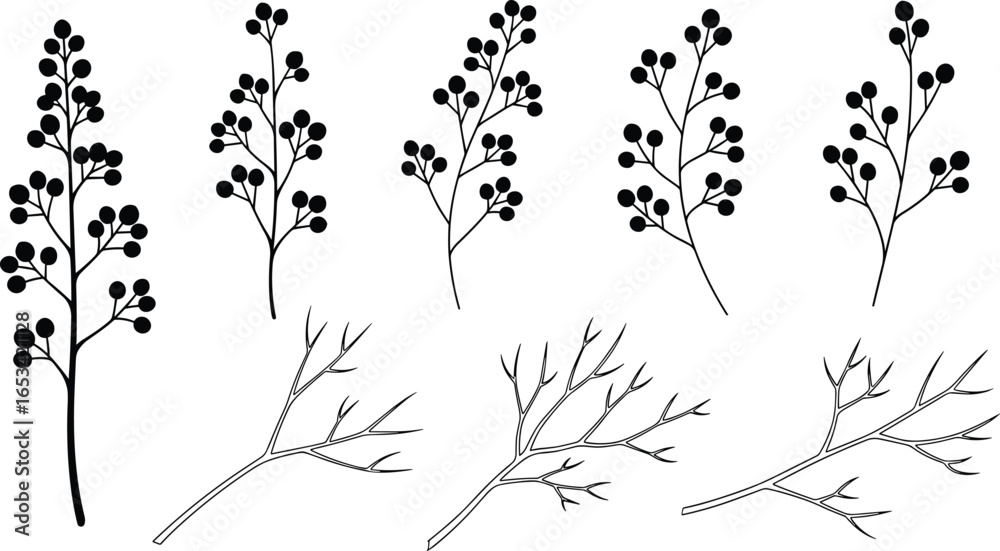 Fototapeta premium Botanical branches with and without berries, black and white vector illustration for nature, seasonal, decorative, and plant design concepts