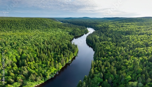 aerial view of the forest in algonquin park canada with green trees and a river and