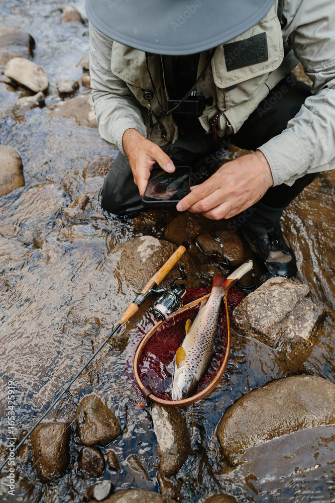 Obraz premium Fisherman photographing brown trout in landing net