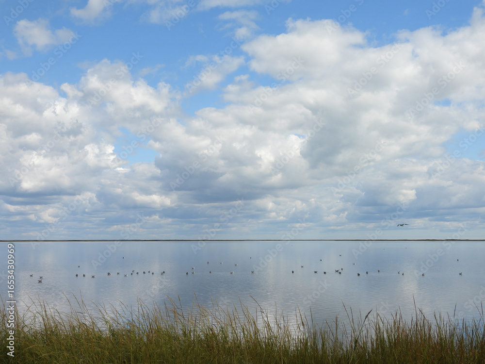 Obraz premium The scenic beauty of the wetlands within the Bombay Hook National Wildlife Refuge. Natural reflections upon still, calm water. Kent County, Delaware. 