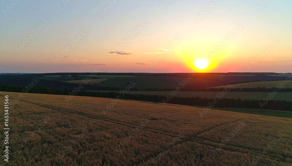 Fototapeta premium Golden sunset over a field