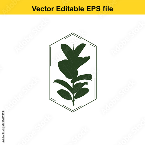 Fiddle leaf fig plant silhouette in geometric frame isolated on white background