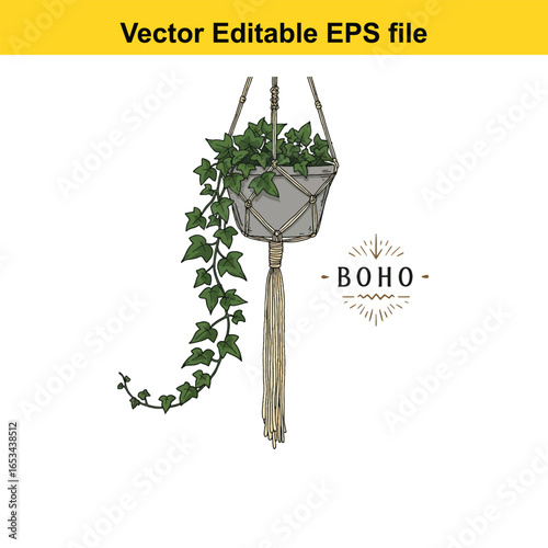 Boho macrame hanging plant pot with ivy, isolated on white background