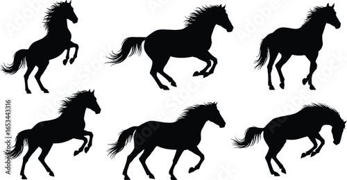 Six black horse silhouettes in various dynamic running and galloping poses on a white background, showcasing different movements.