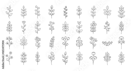 Artistic Floral Illustrations, Nature, Graphic Design, Botanical Elements, Digital Artwork, Light Background, Creative Concept