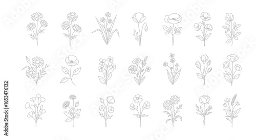 Floral Illustrations, Abstract Designs, Creative Art, Digital Artwork, Botanical Elements, Minimalist Style