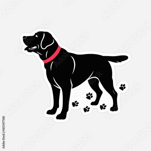Black labrador retriever with red collar and paw prints on a white background isolated on white background, a cute and adorable pet illustration