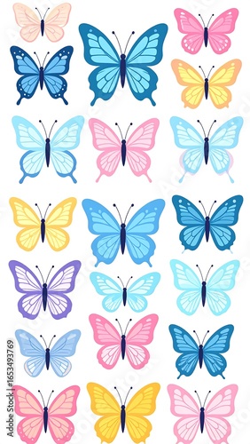 Colorful butterfly design