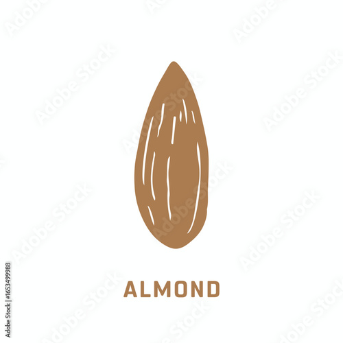 An almond Icon on a white background, A hand drawn illustration of an almond icon on a white background