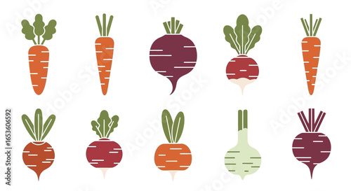Vegetable Illustration with Carrots and Beetroots