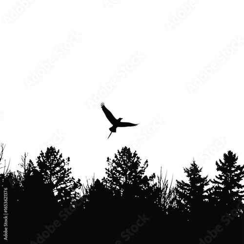 Vector illustration of silhouette of a bird of prey flying over a forest
