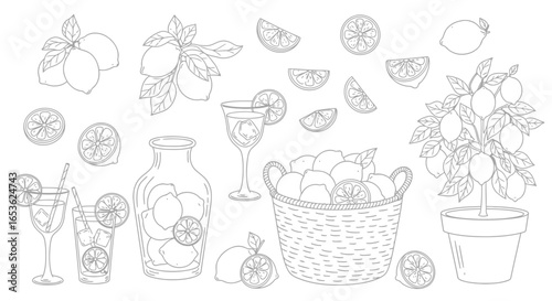 Vector illustration of collection of lemons, lemonade, and lemon tree