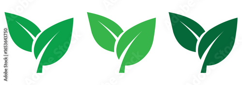 Set of green leaf logo design vector icons