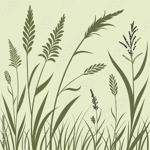 An elegant illustration of various wild grass, reed, and cereal plant silhouettes in a monochrome green palette.