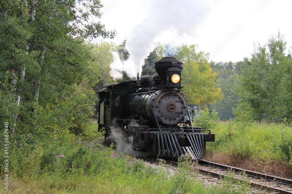 steam train in the forest steam train in the forest