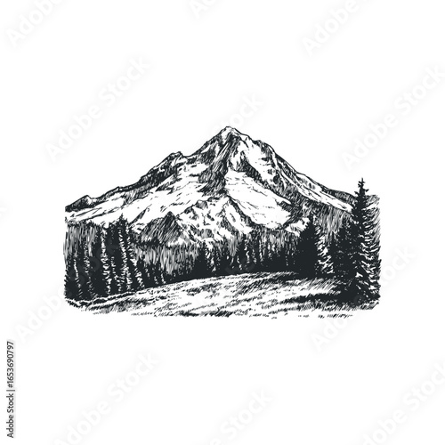 Pen and ink sketch of a snow-capped mountain peak with coniferous forest