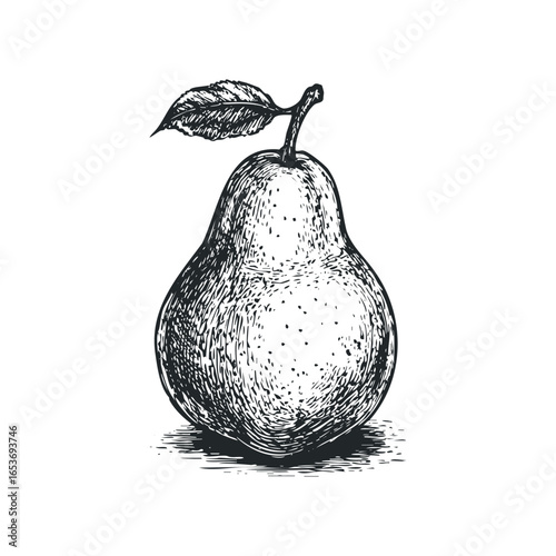 Line art drawing of a ripe pear with a leaf and stem