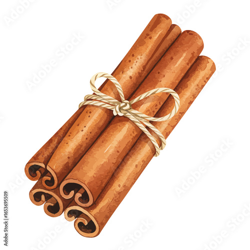 Bundle of Cinnamon Sticks Tied with Twine