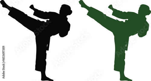 Karate kick silhouette martial arts training self defense pose